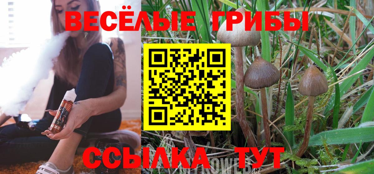 Воркута  Псилоцибиновые грибы MAGIC MUSHROOMS  Вход с VPN 